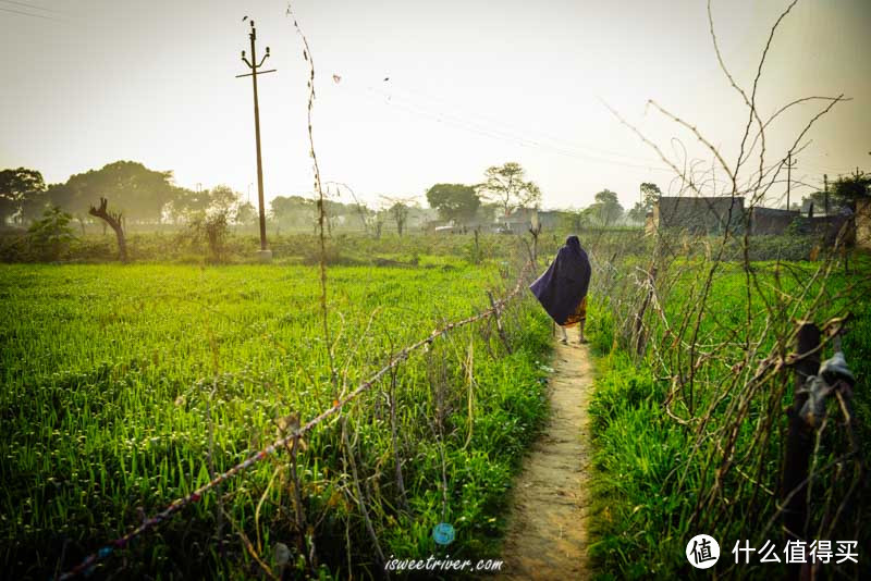 阿格拉（Agra）