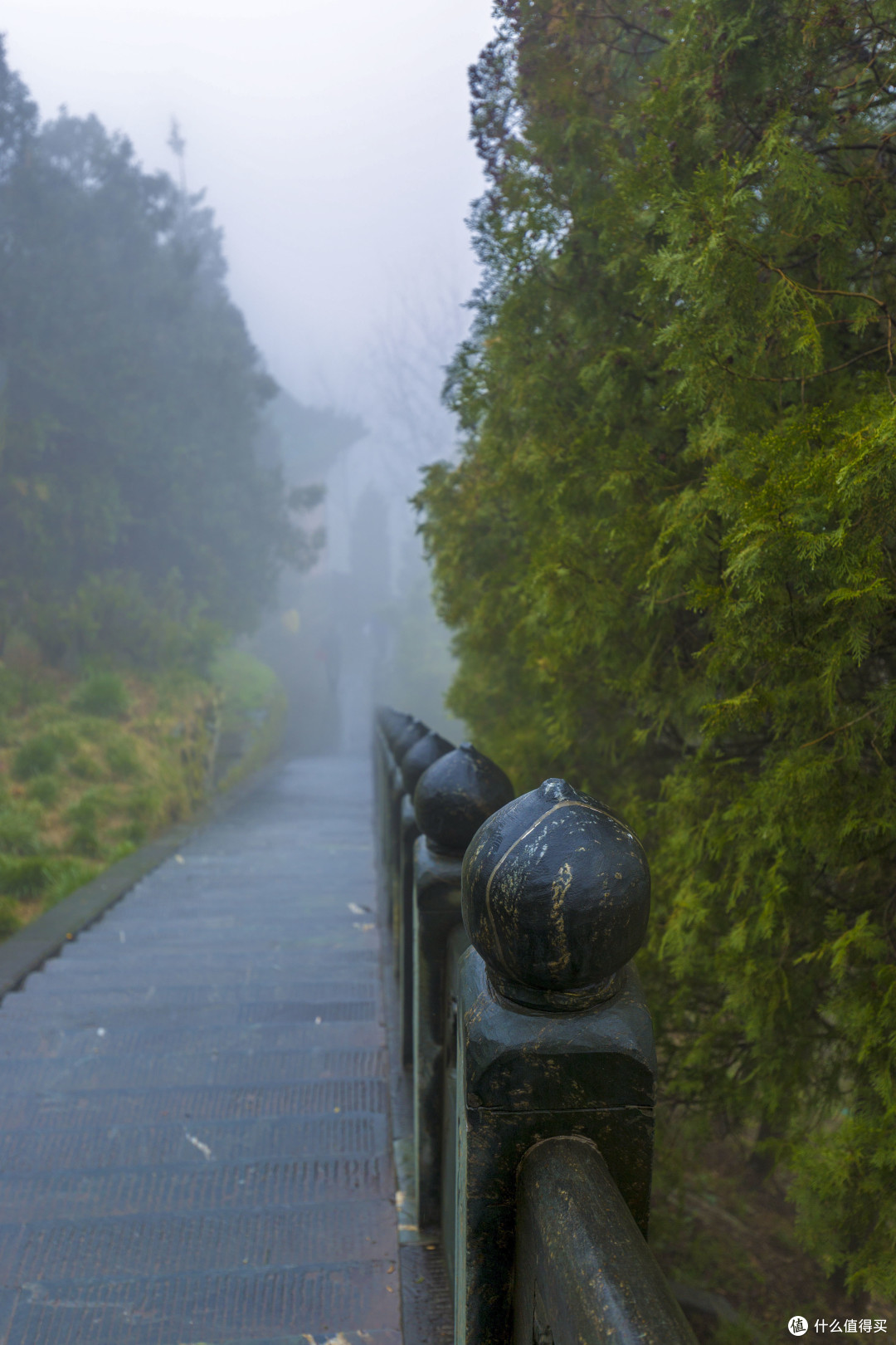 雨叩武当山:“道长,还收徒不?”