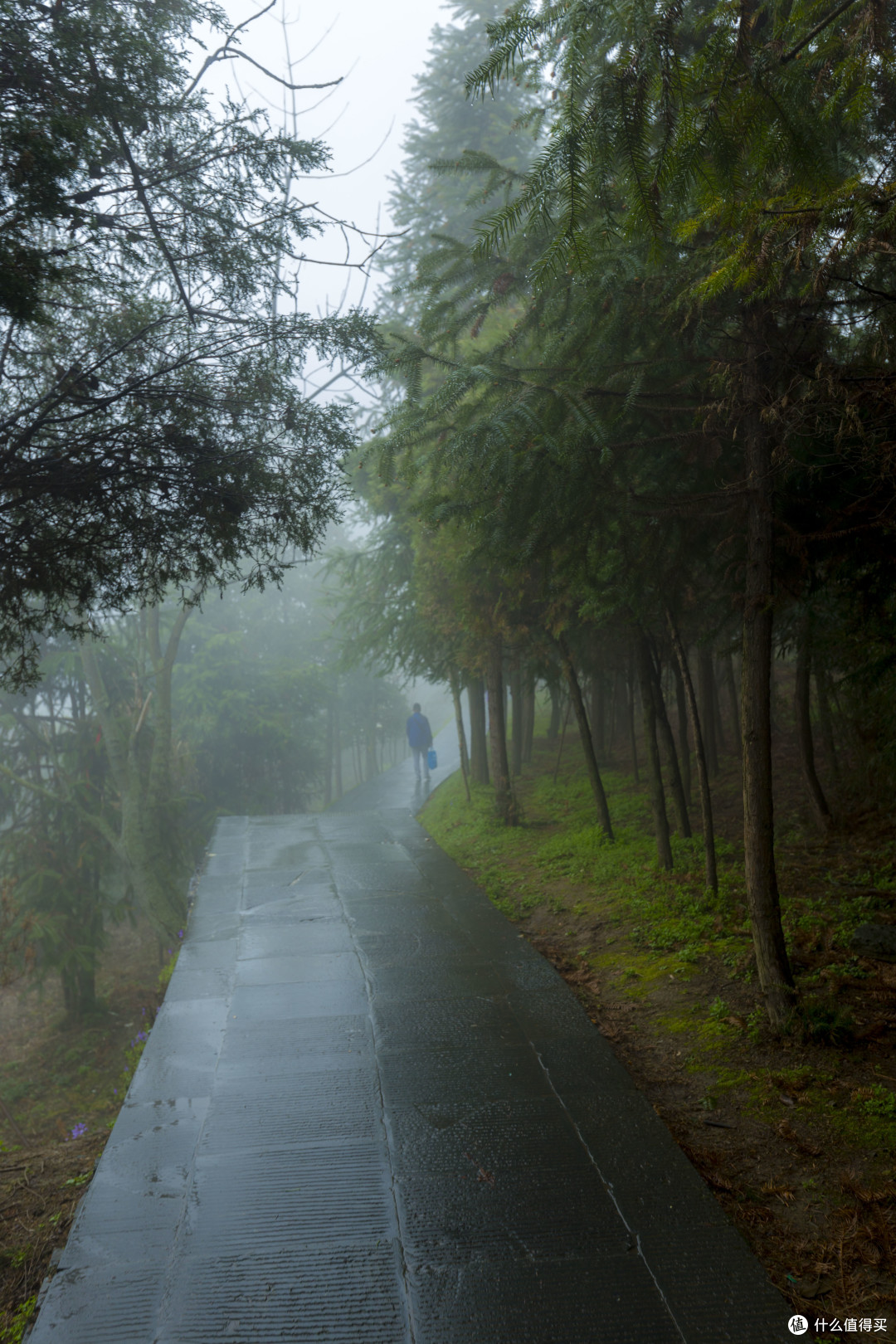雨叩武当山:“道长,还收徒不?”