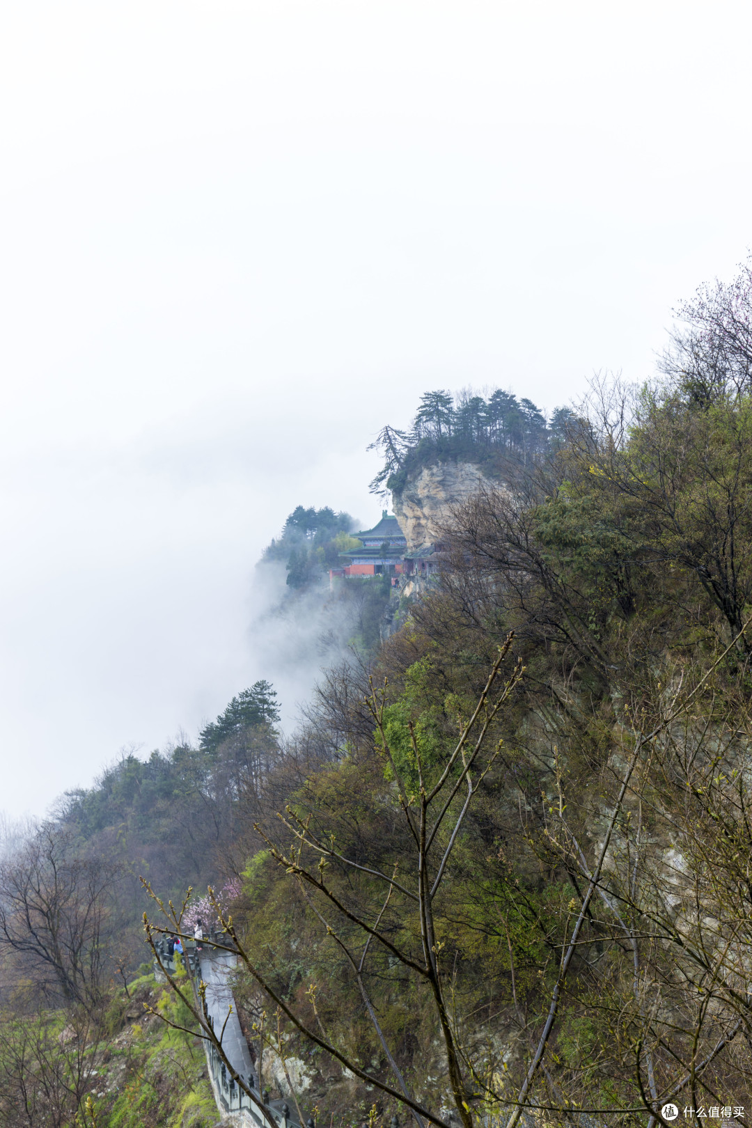 雨叩武当山:“道长,还收徒不?”