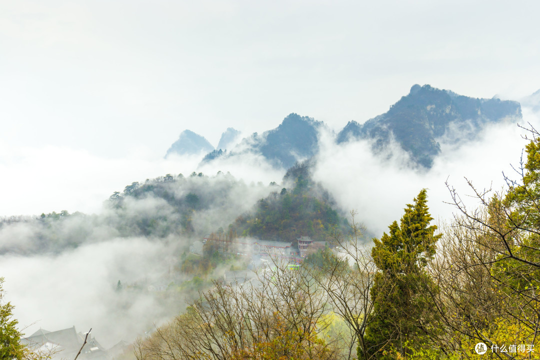 雨叩武当山:“道长,还收徒不?”