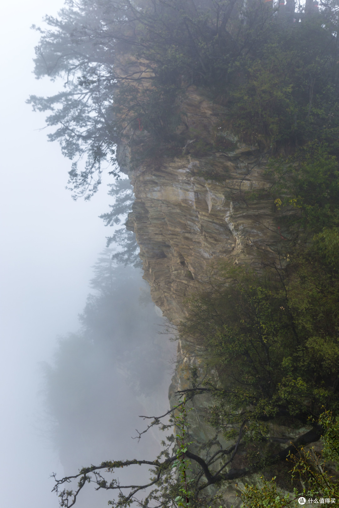 雨叩武当山:“道长,还收徒不?”