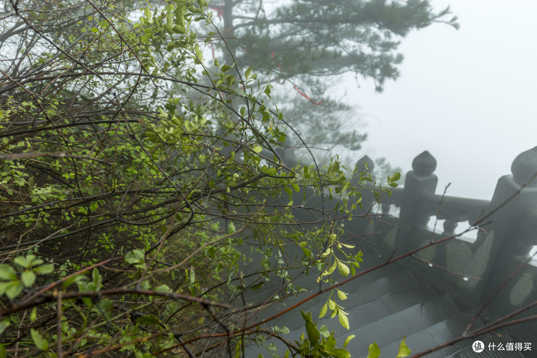 雨叩武当山:“道长,还收徒不?”
