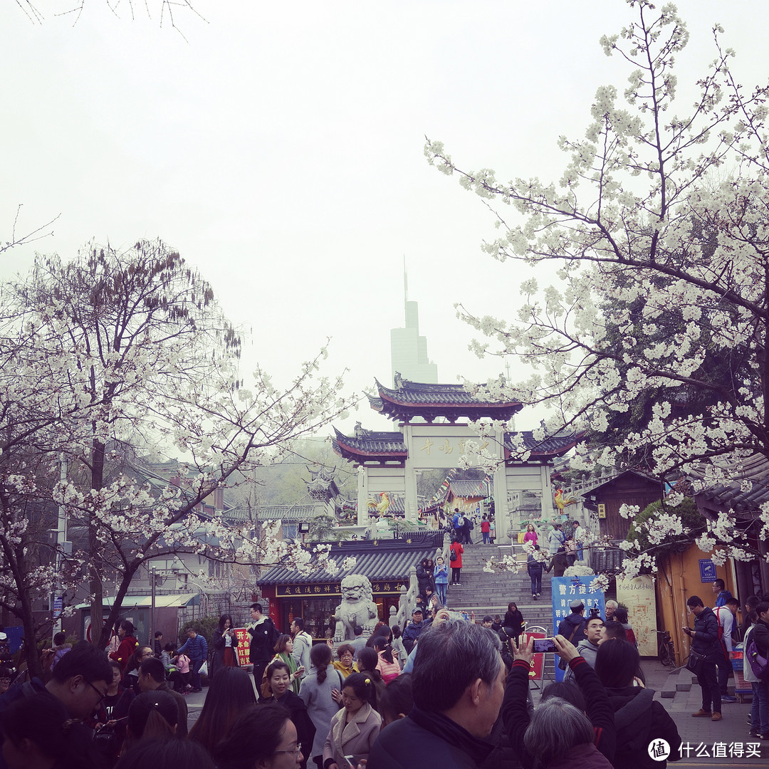 博物院观史 玄武湖看水 古秦淮鸡鸣寺的花和人人人