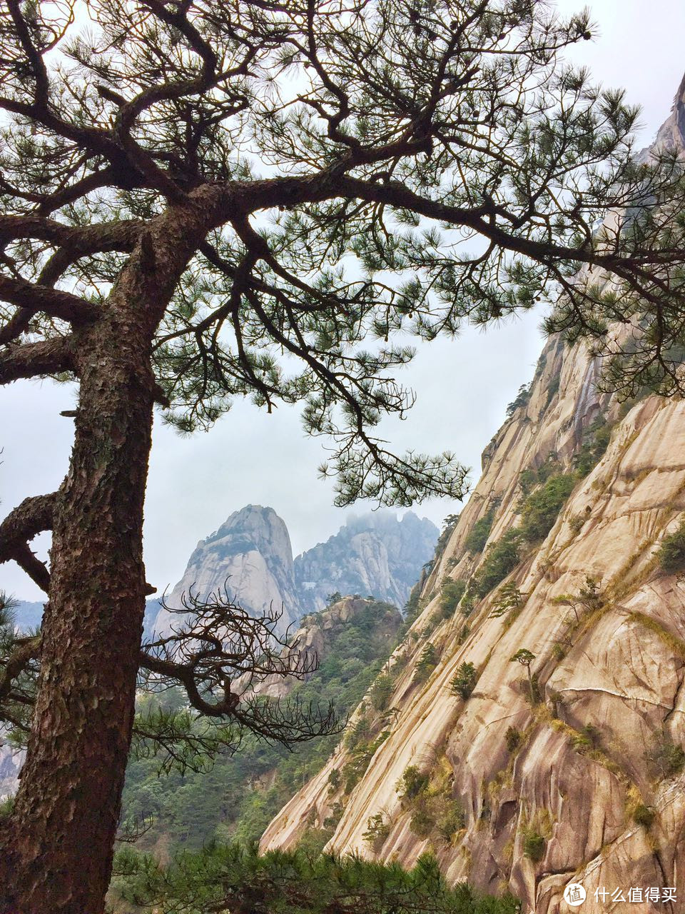 出发，去拾取遗落在人间的美好！皖南黄山行