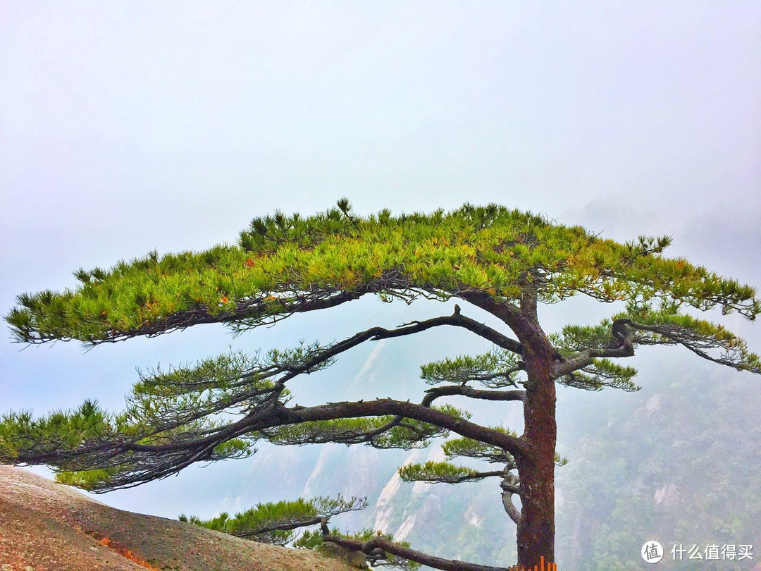 出发，去拾取遗落在人间的美好！皖南黄山行