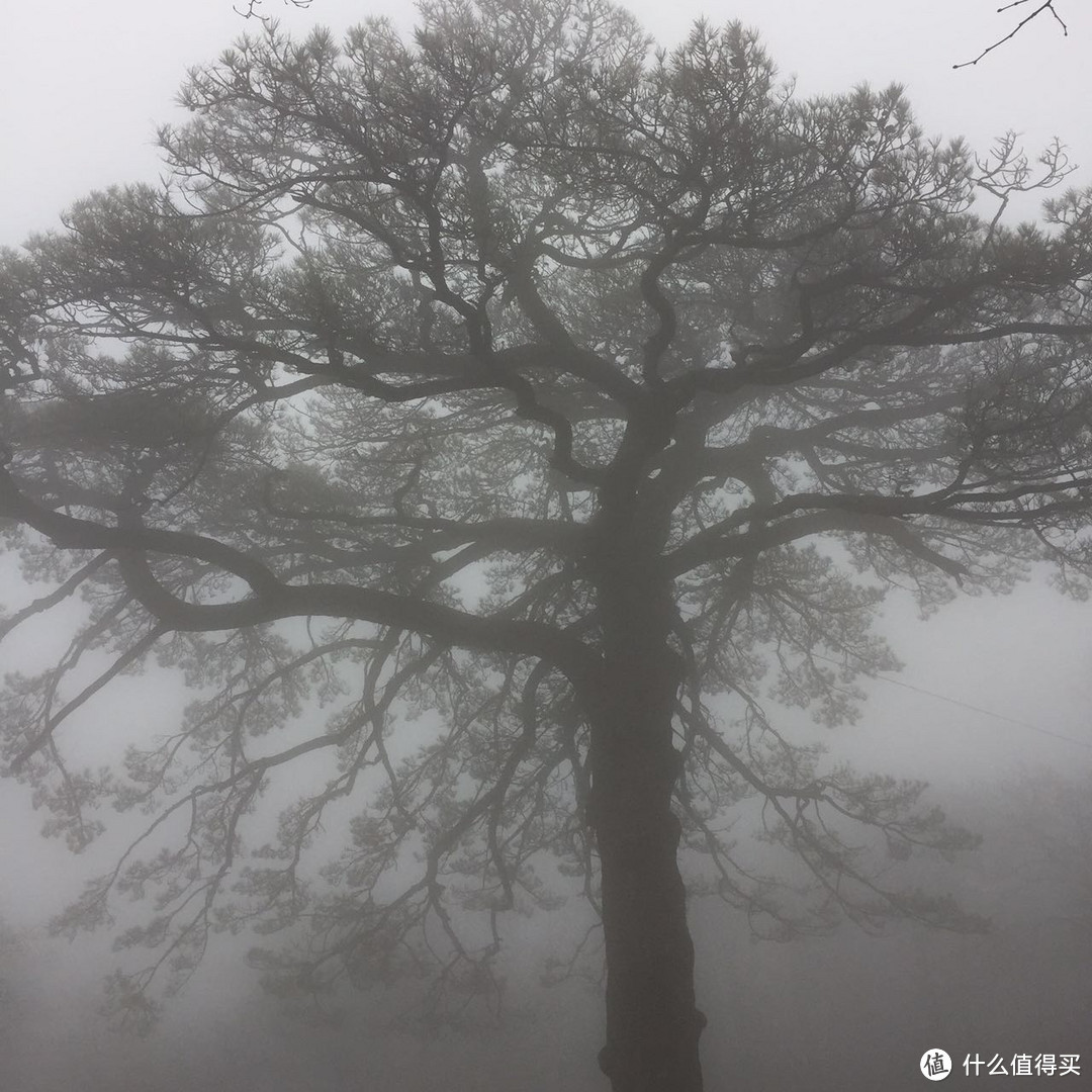 出发，去拾取遗落在人间的美好！皖南黄山行