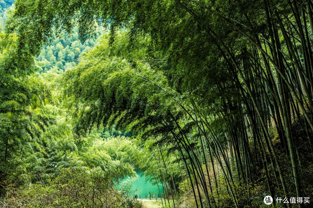 出发,去拾取遗落在人间的美好!皖南黄山行