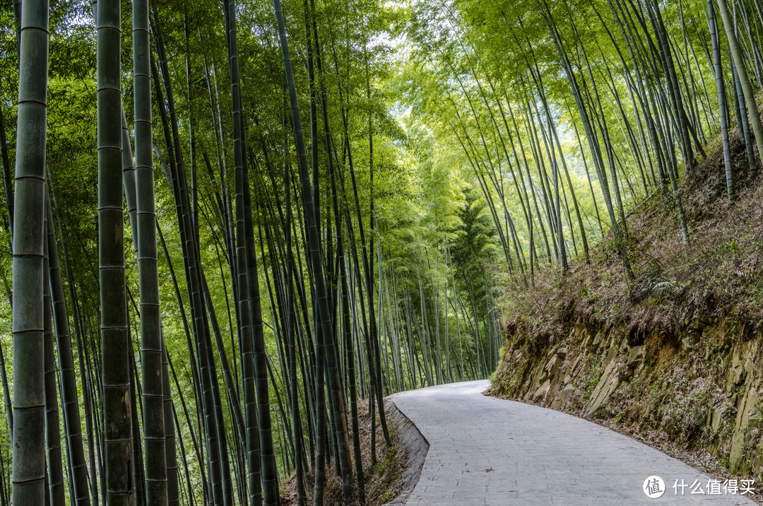 出发，去拾取遗落在人间的美好！皖南黄山行