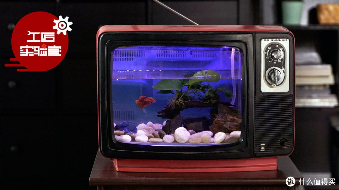 扔什么老电视机，不如拿来养金鱼