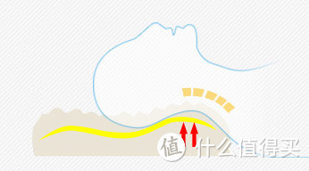 四款枕头使用报告 — 乳胶枕、Tempur记忆枕、Mediflow水枕、鹅绒枕
