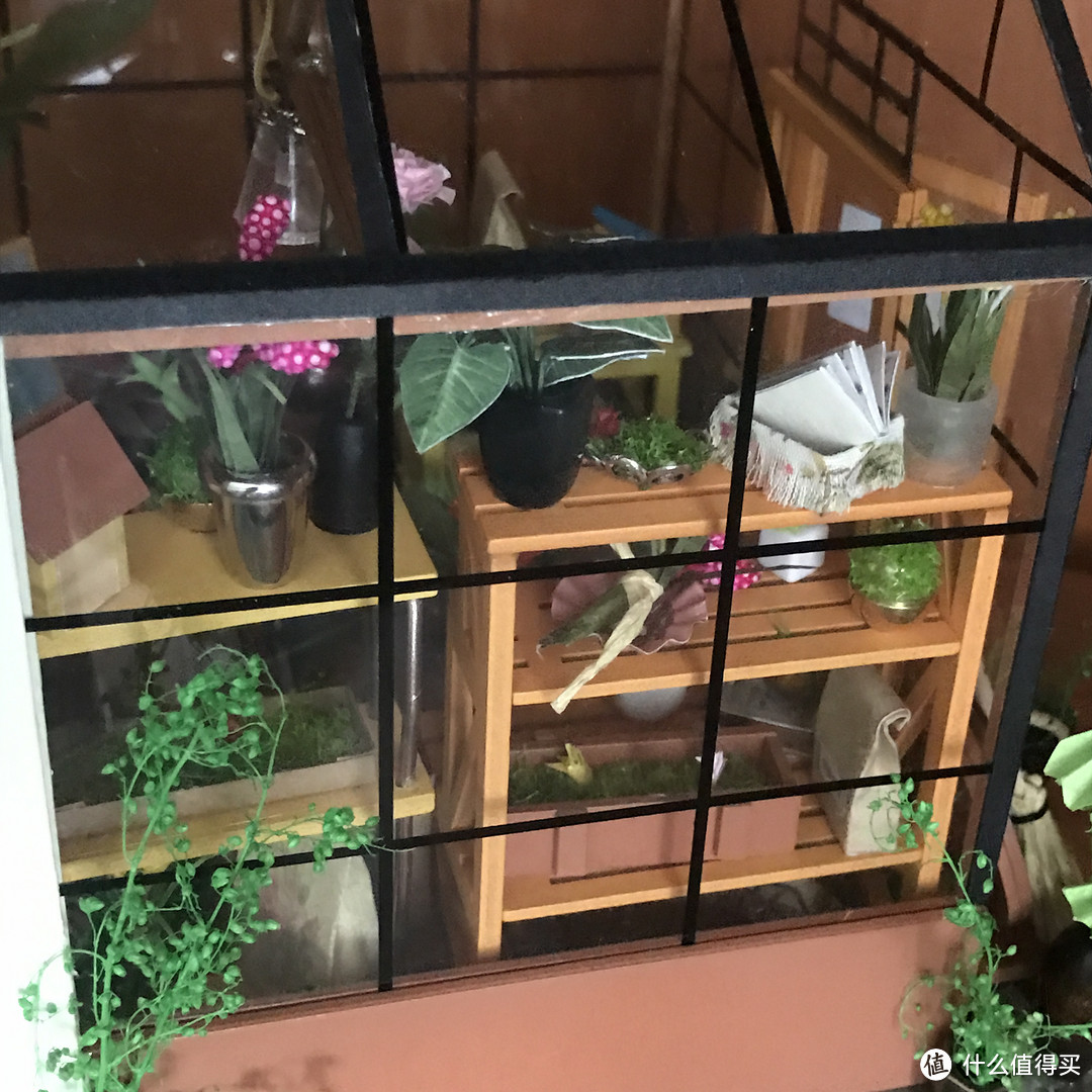 #本站首晒# 初次接触DIY小屋——凯西的花房