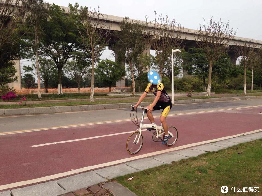 DAHON 大行 折叠车 mu tt进化