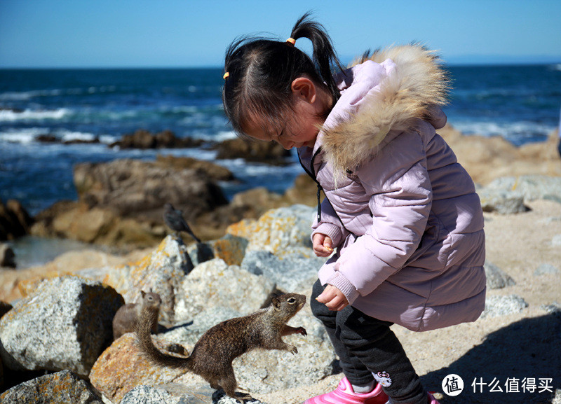 美帝西岸行以及赴美旅游一些注意事项