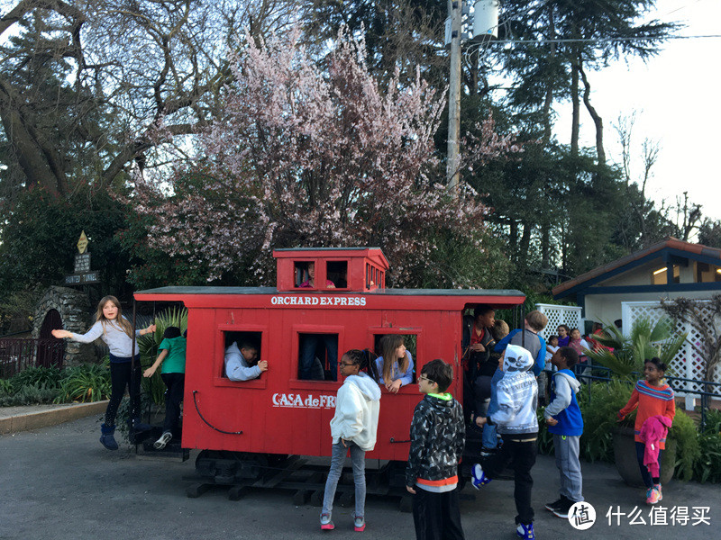 美帝西岸行以及赴美旅游一些注意事项