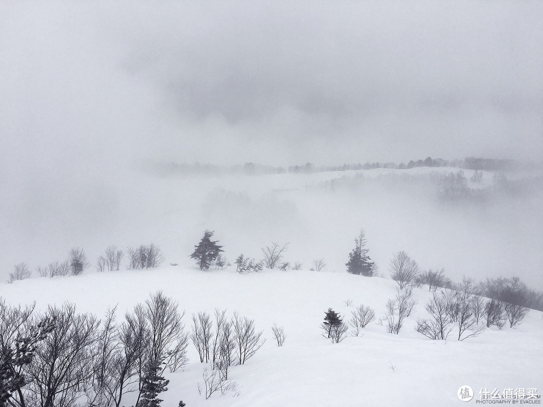 值得一去再去的日本：Japow！白马滑雪！