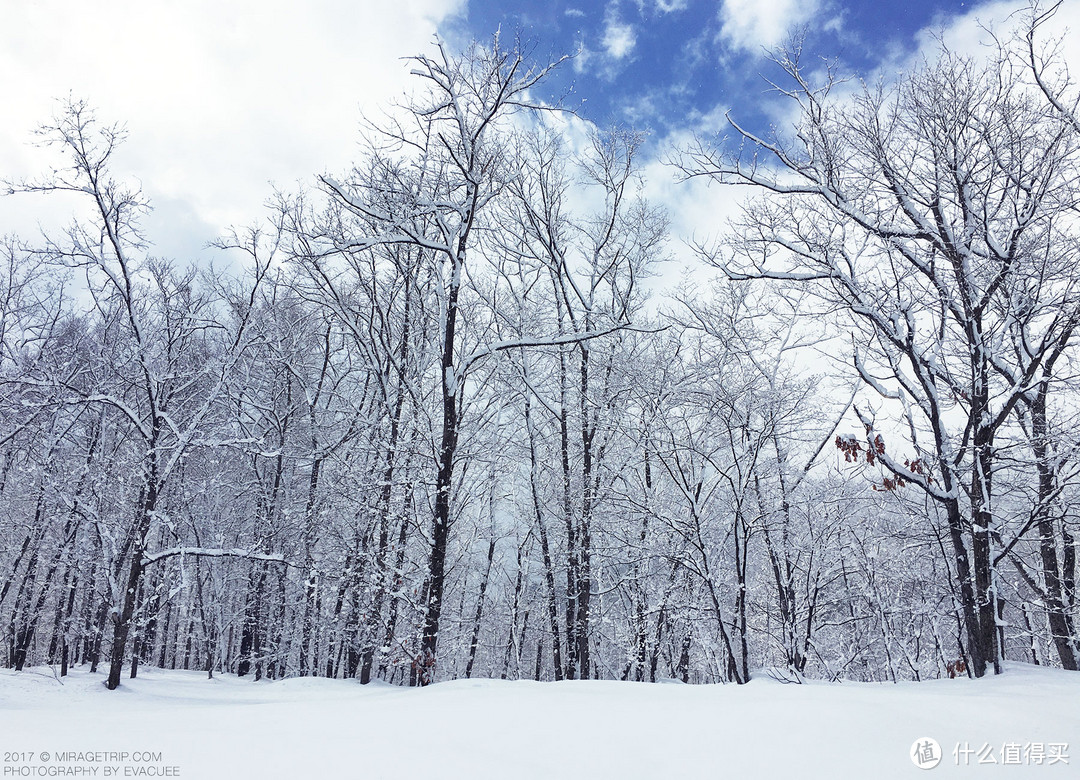 值得一去再去的日本：Japow！白马滑雪！