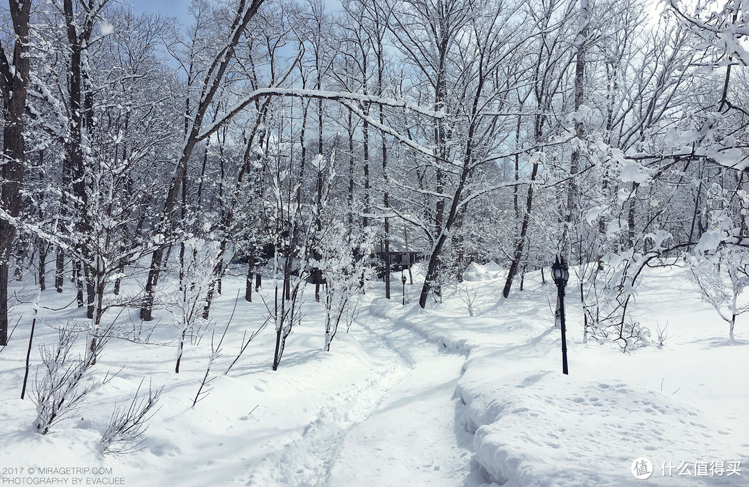 值得一去再去的日本：Japow！白马滑雪！