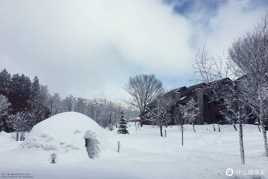 值得一去再去的日本：Japow！白马滑雪！