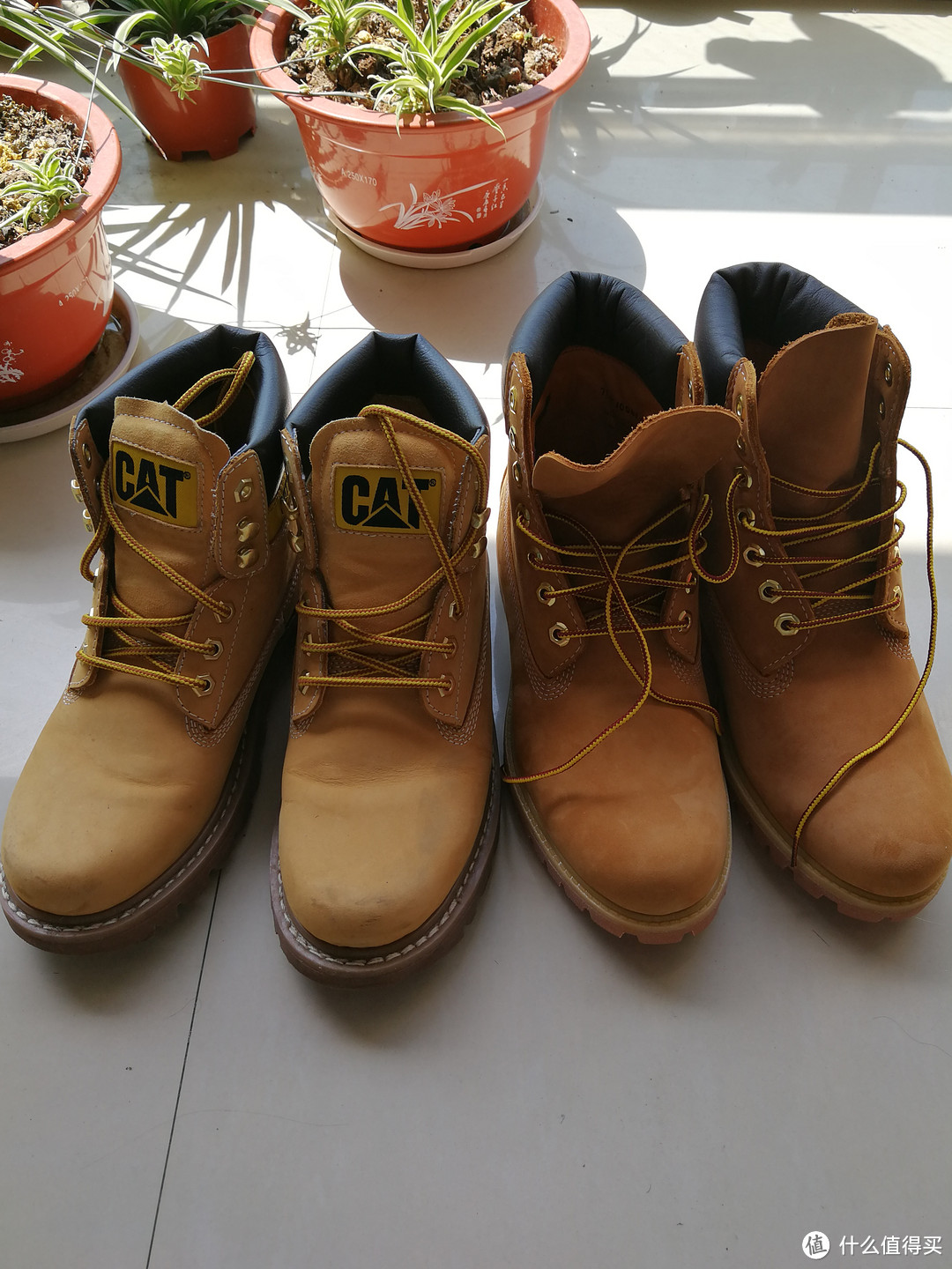 Timberland 添柏岚 10061开箱、尺码及与Cat Colorado“二黄合影”