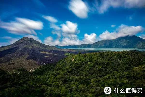 这种猫屎闻起来很香，还能做成咖啡