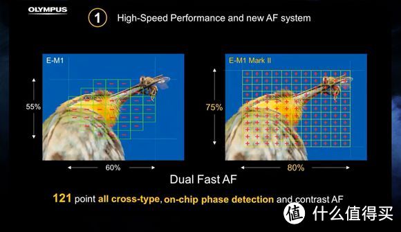 #买值618#小底就是烂画质？奥林巴斯/松下M4/3无反相机系统全攻略