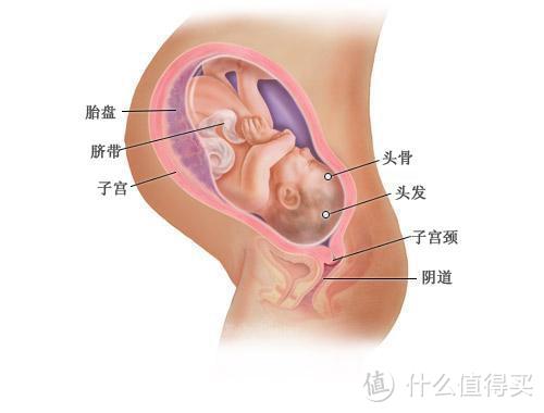 升级娃妈！顺产全纪录+待产包+产后注意事项