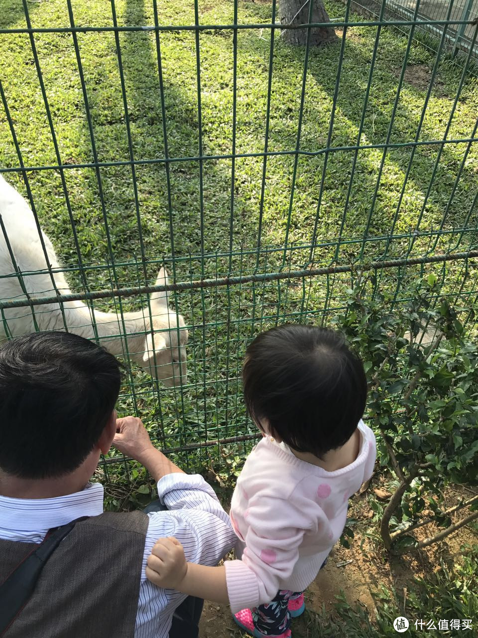 带着两岁的宝宝去海南过新年