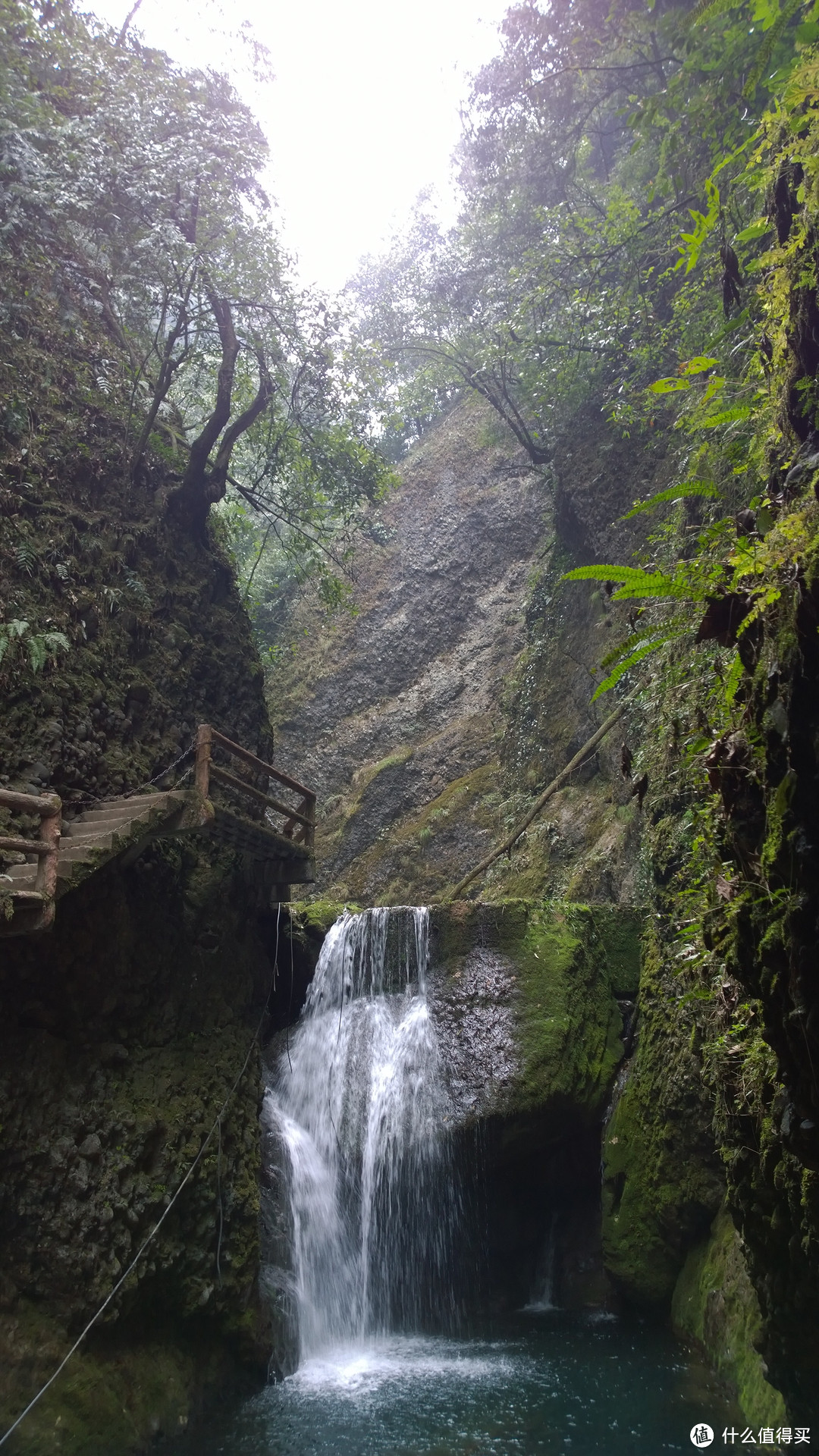 成都-青城-峨眉