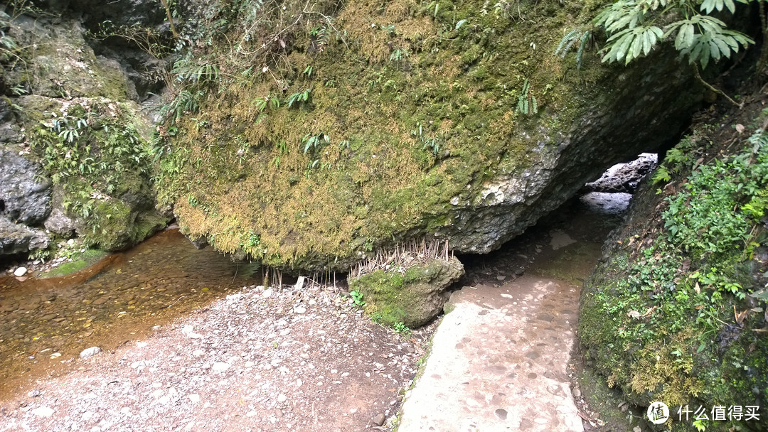 成都-青城-峨眉