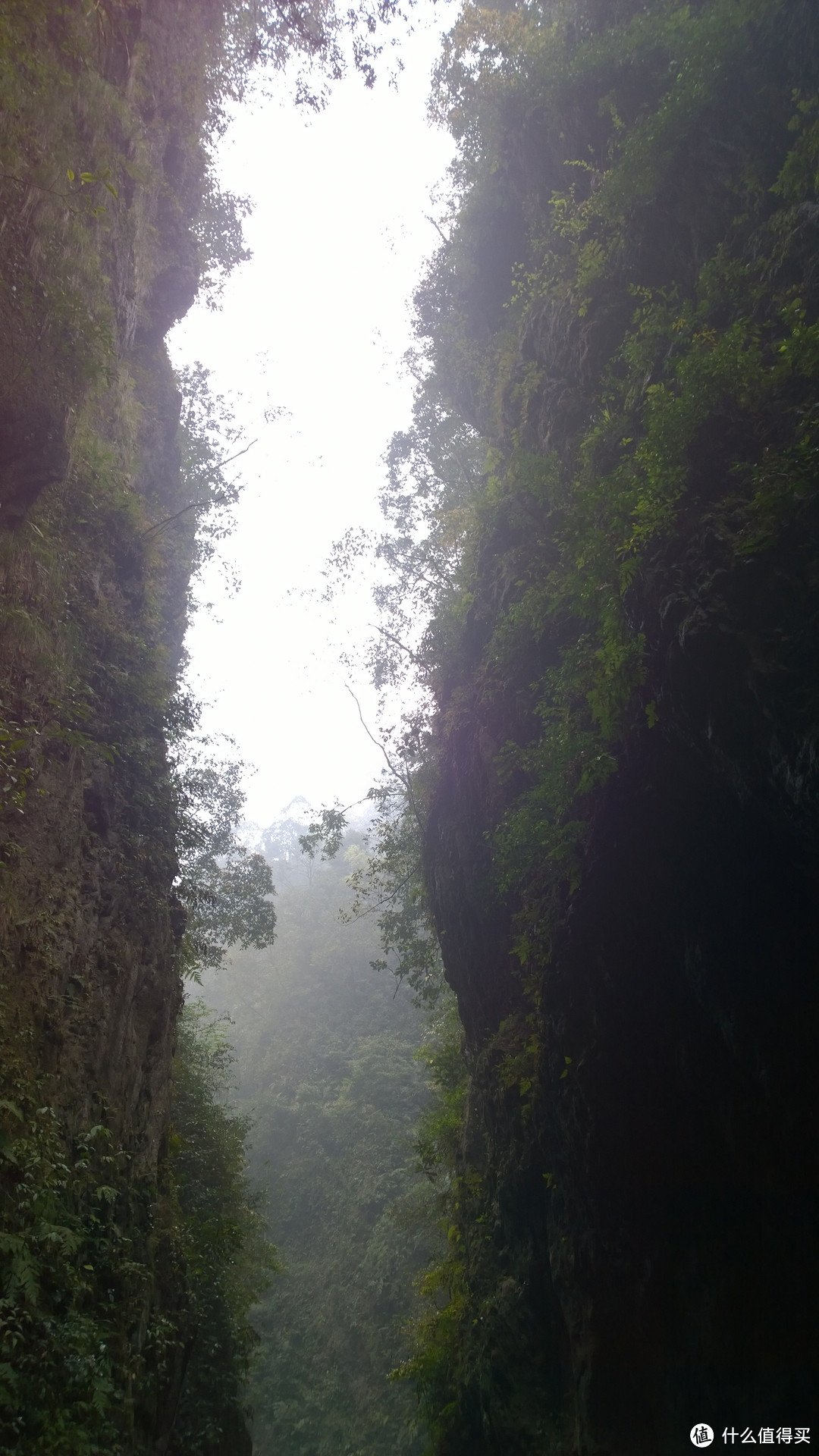 成都-青城-峨眉