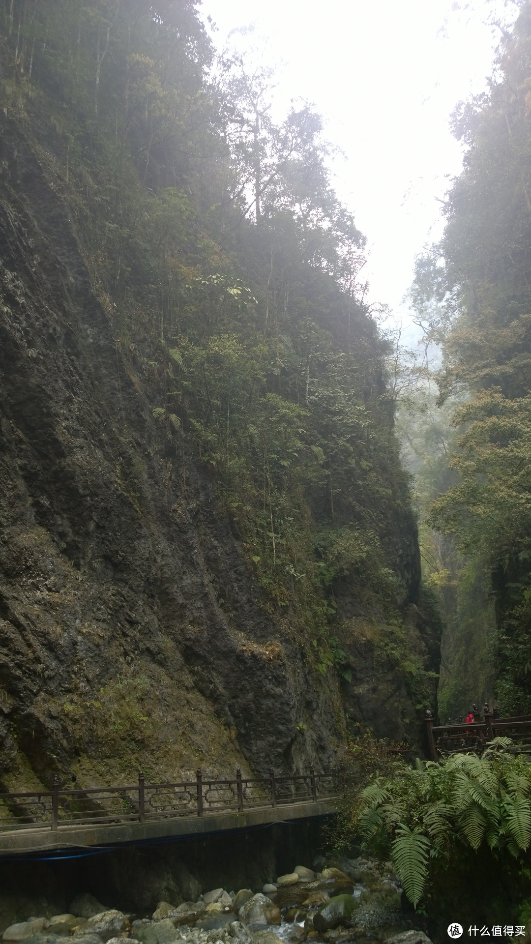 成都-青城-峨眉