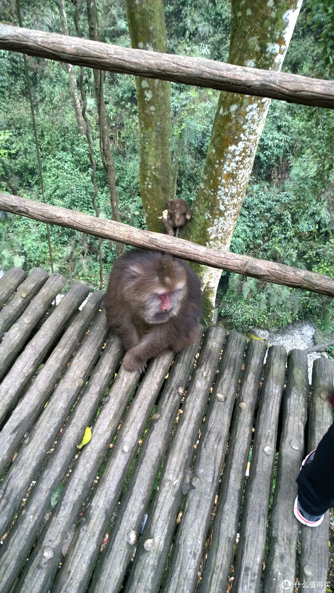 成都-青城-峨眉