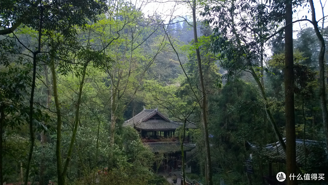 成都-青城-峨眉