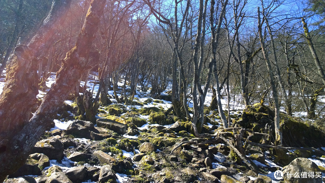 成都-青城-峨眉