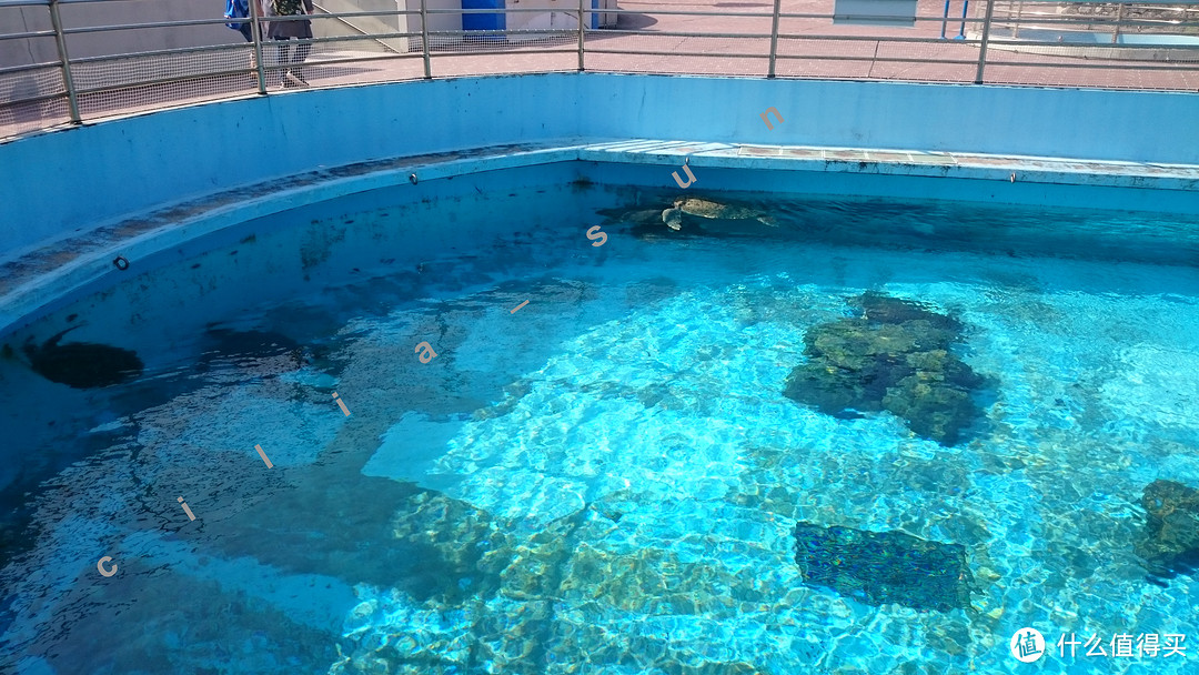 波折的出发+美丽的水族馆