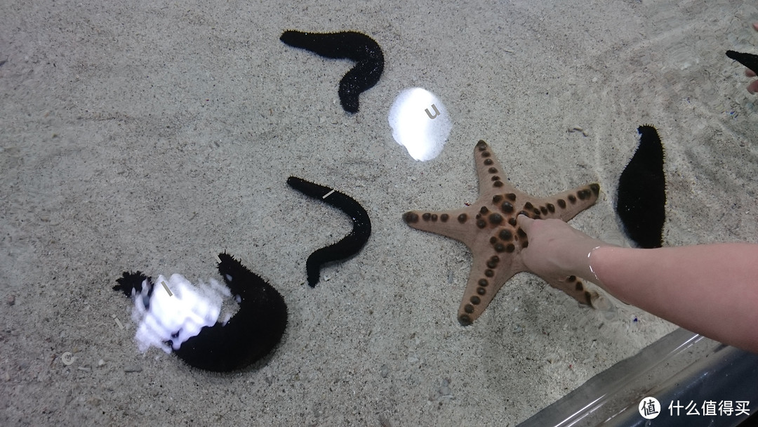 波折的出发+美丽的水族馆