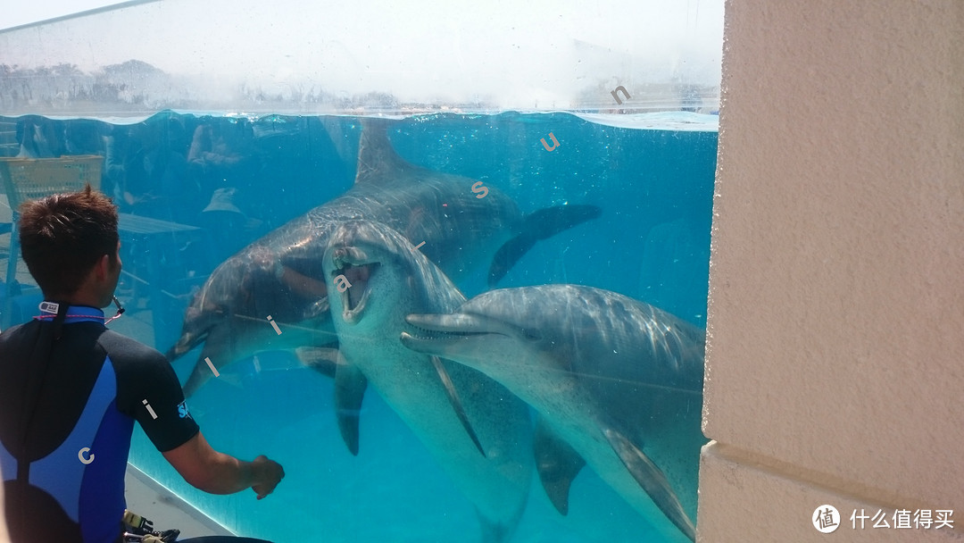 波折的出发+美丽的水族馆