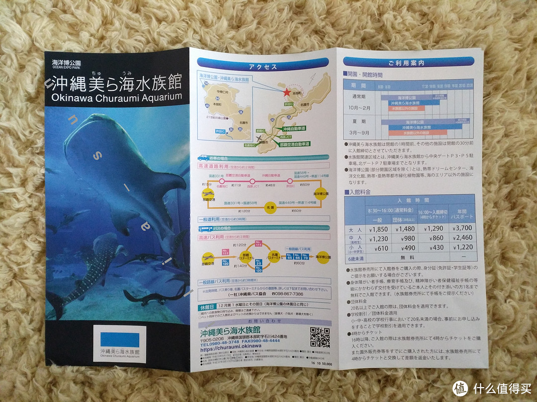 波折的出发+美丽的水族馆