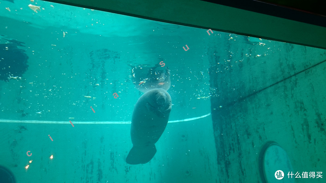 波折的出发+美丽的水族馆