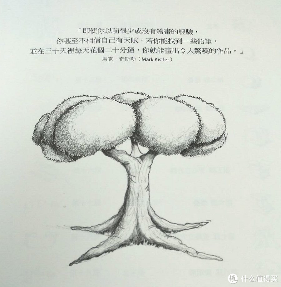 啪啪啪不如唰唰唰 认真30天就可以拥有它 — 《一枝铅笔就能画》绘画书介绍