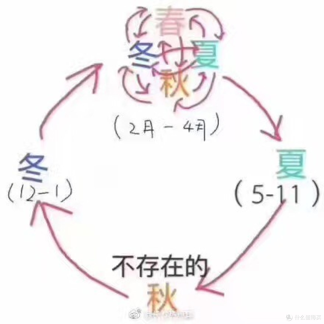 #值物总动员#疯狂烧烤季!户外烧烤实战攻略