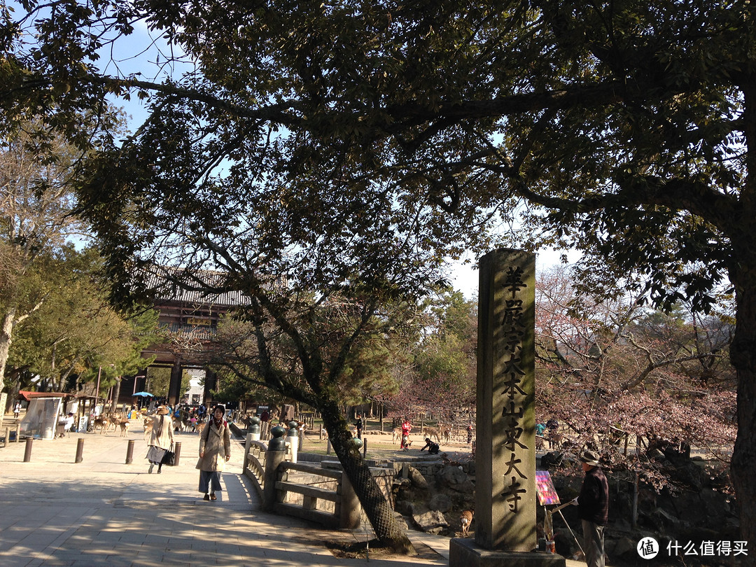 总述与关西部分（大阪-奈良-京都）