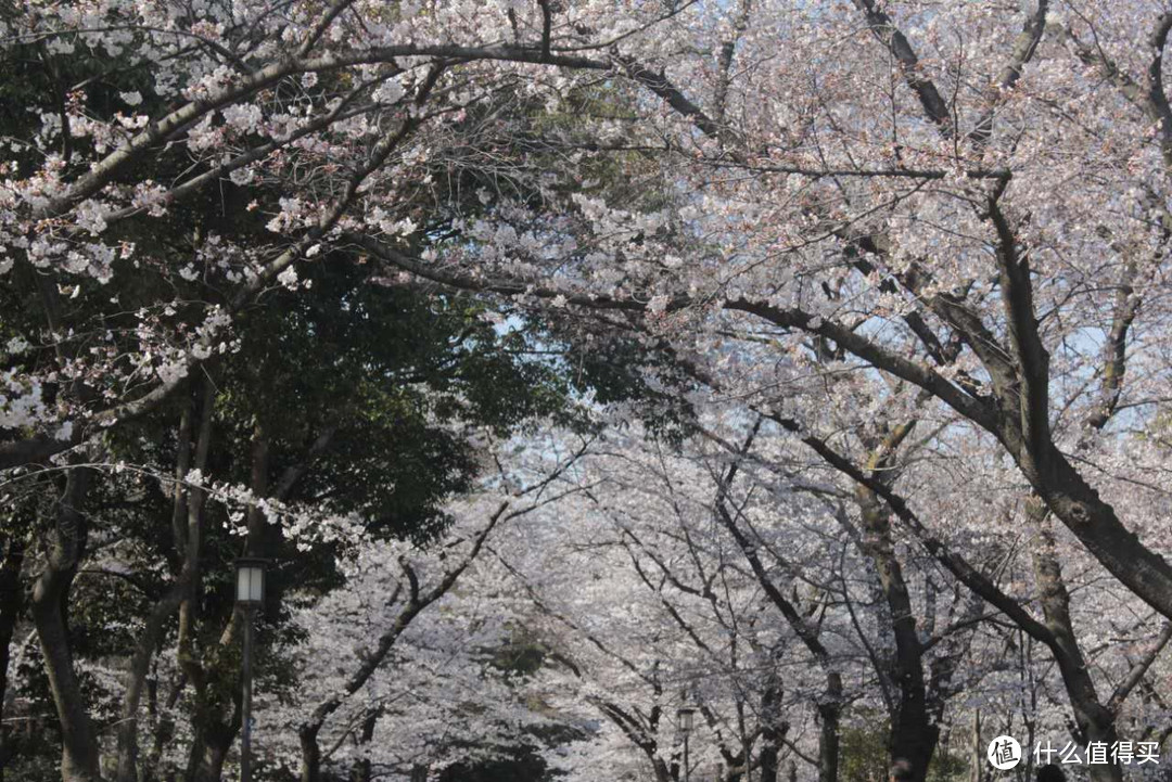 总述与关西部分（大阪-奈良-京都）