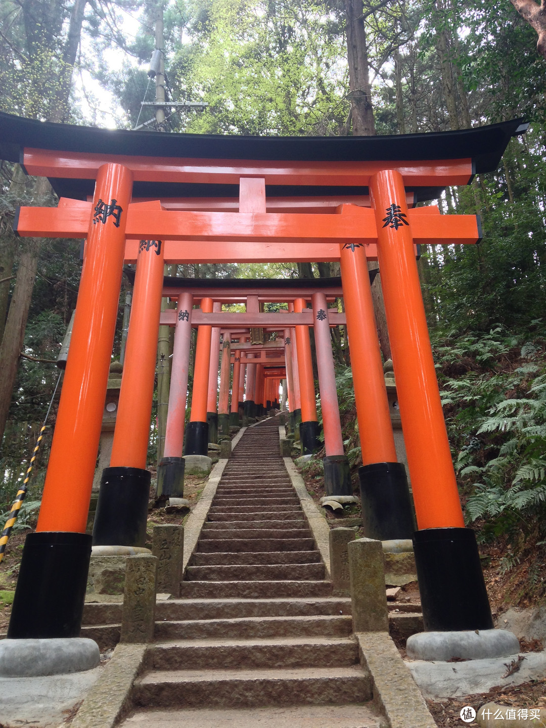 总述与关西部分（大阪-奈良-京都）