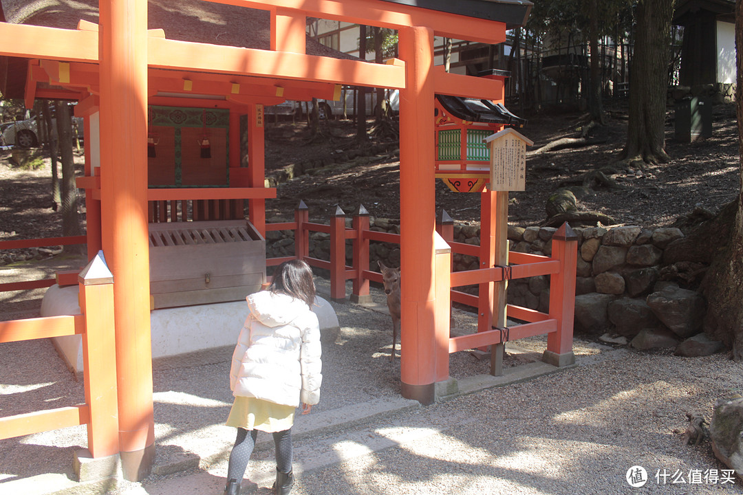 总述与关西部分（大阪-奈良-京都）