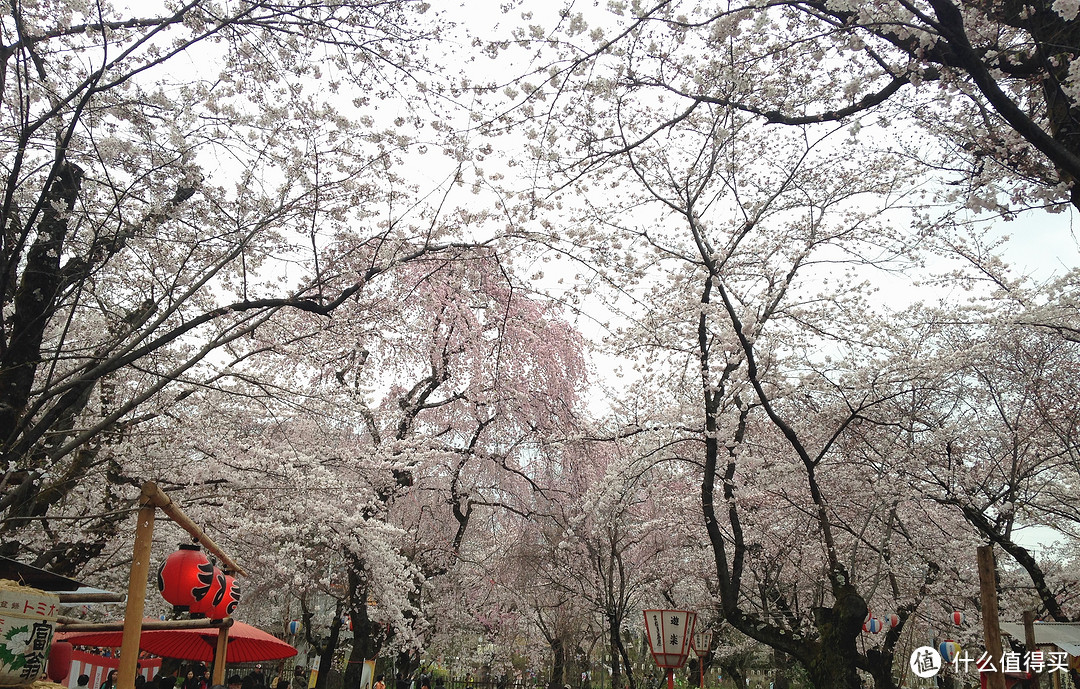 总述与关西部分（大阪-奈良-京都）