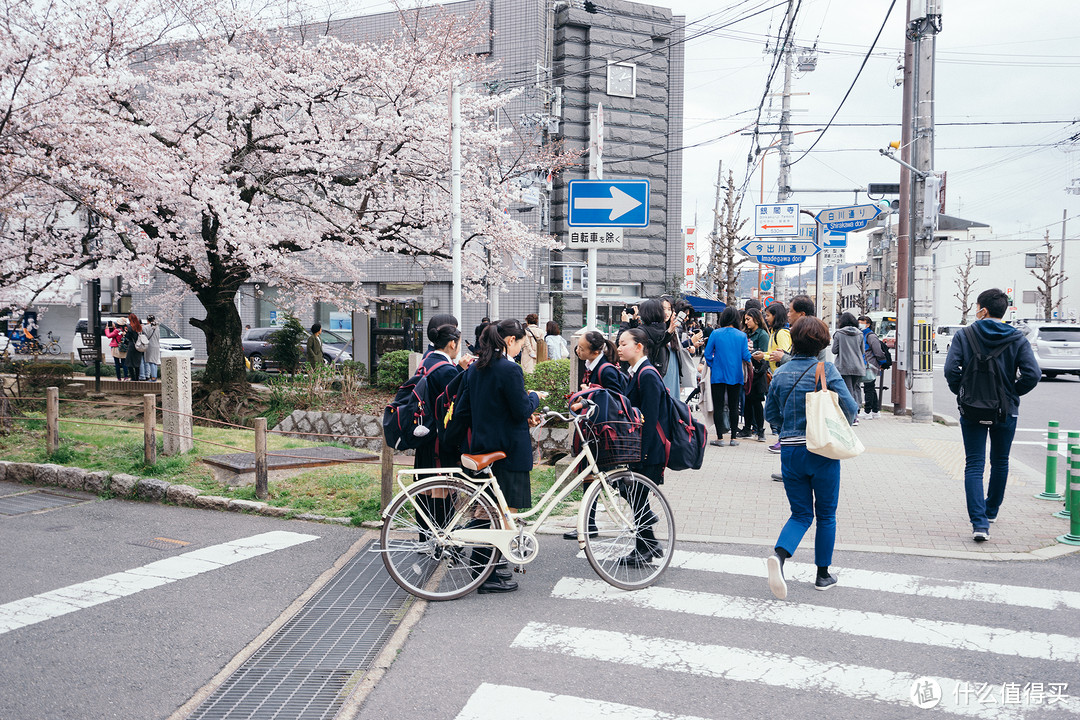 京都人文之旅