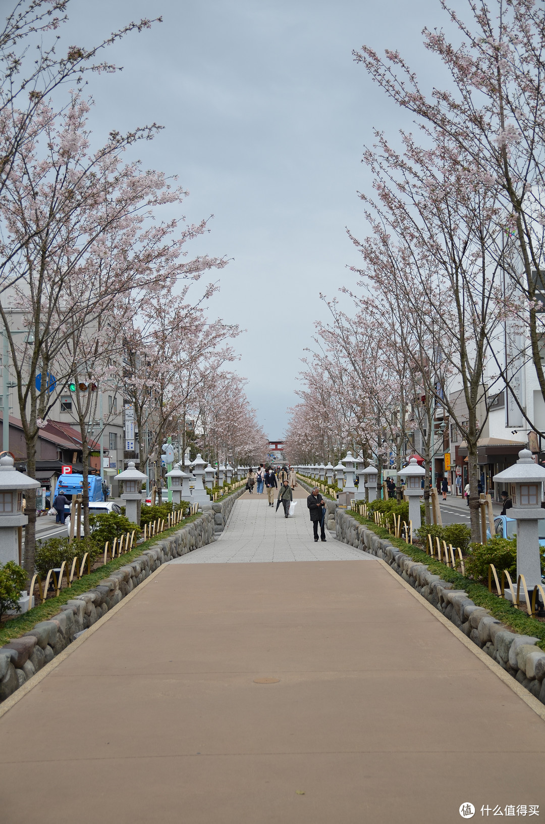 樱花小路