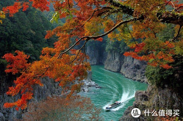 Day.3 高野山-新宫市-川汤温泉